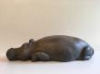 Hippopotame couché